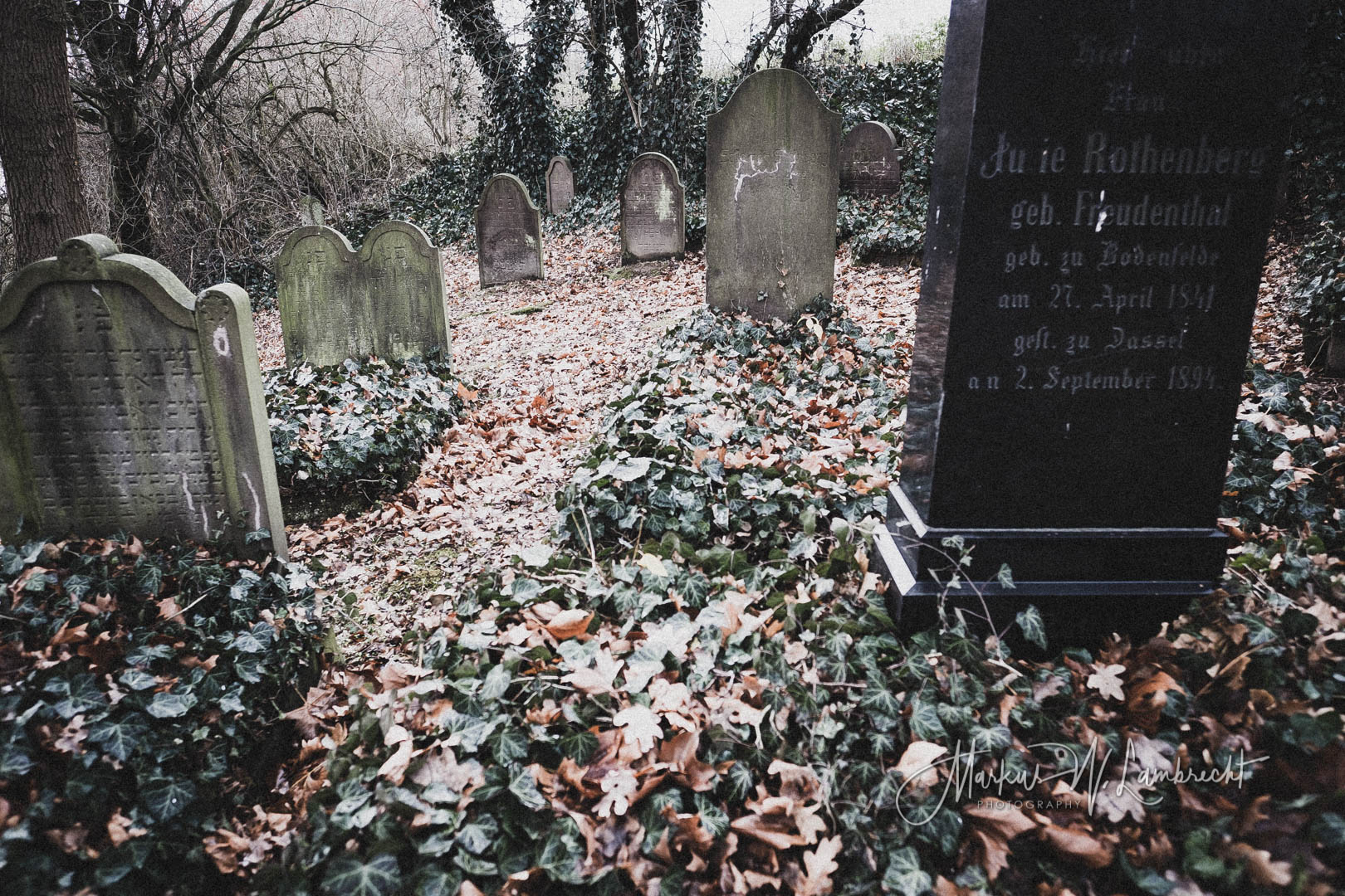 Dassel, Jüdischer Friedhof